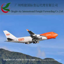 Collecting and Tracking Worldwide Logistics Shipping Air Cargo Ship From China to Global